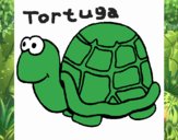 Tortuga 1