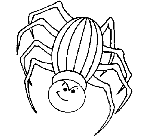 Dibujo de Araña 2 para Colorear