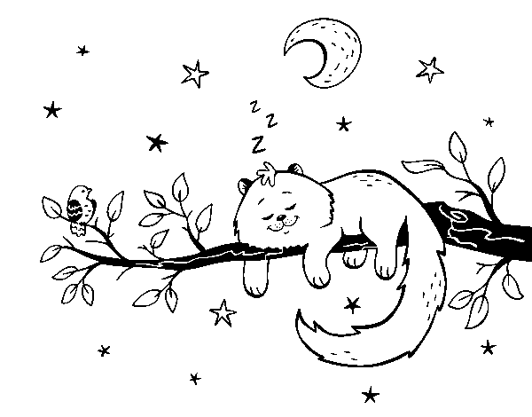 Dibujo de El gato y la luna para Colorear