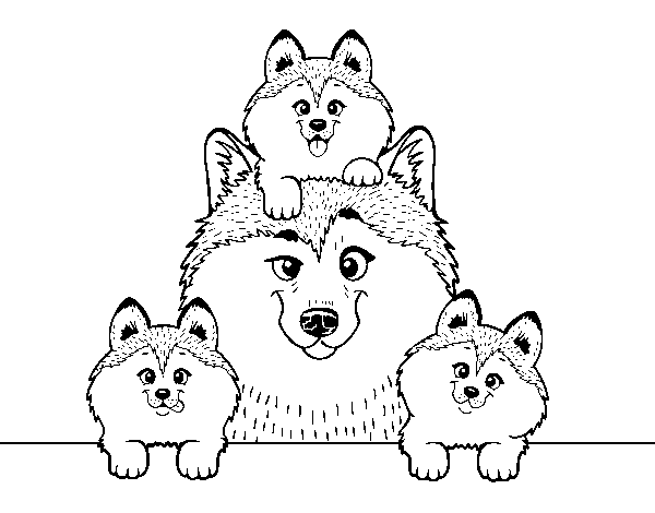 Dibujo de Familia Husky para Colorear