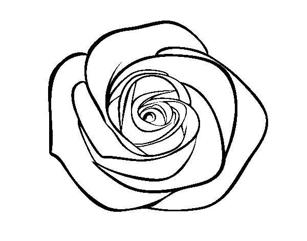 Dibujo de Flor de rosa para Colorear