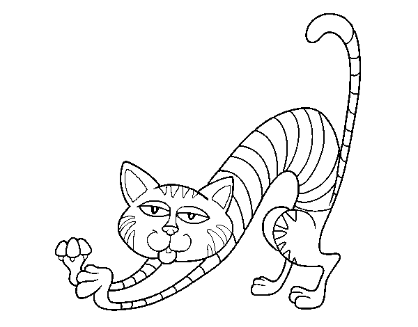Dibujo de Gato haciendo estiramientos para Colorear