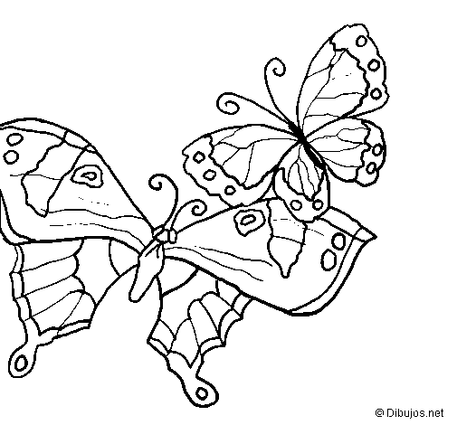 Dibujo de Mariposas para Colorear