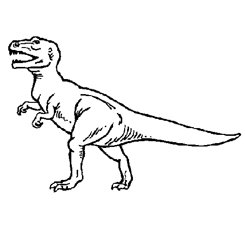 Dibujo de Tiranosaurus Rex para Colorear