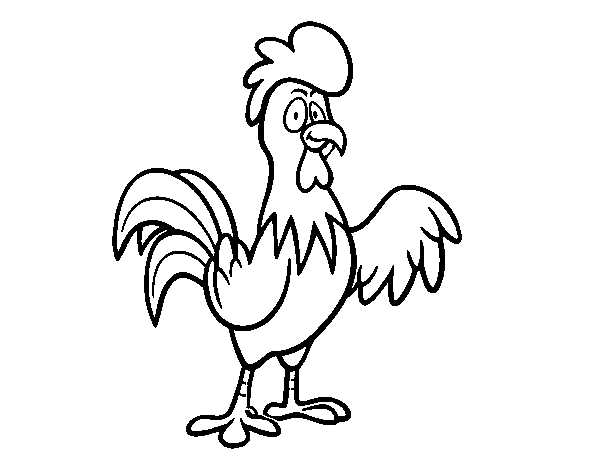 Dibujo de Un gallo de corral para Colorear