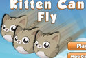 Gatos voladores