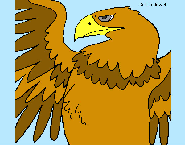 Dibujos de Águilas para Colorear 