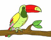 201704/un-tucan-animales-aves-pintado-por-tefil-10918846_163.jpg