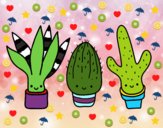 201744/mini-cactus-naturaleza-flores-pintado-por-dalas-11181133_163.jpg