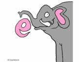 Elefante 2a