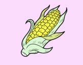 Una mazorca de maíz