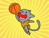 Gato jugando a baloncesto