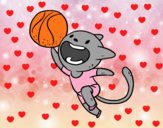 Gato jugando a baloncesto