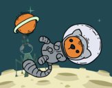 Gatito astronauta