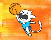 Gato jugando a baloncesto