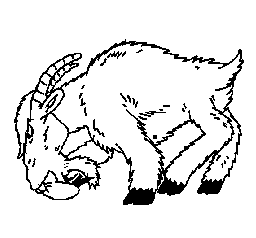 Dibujo de Cabra enfada para Colorear