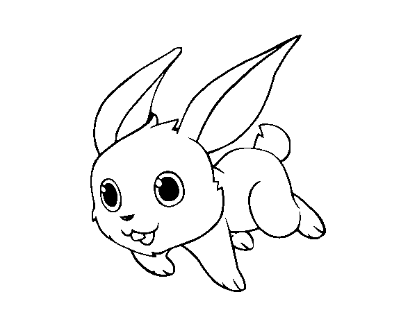 Dibujo de Conejo de campo para Colorear