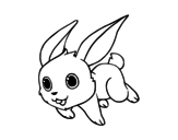 Dibujo de Conejo de campo para colorear