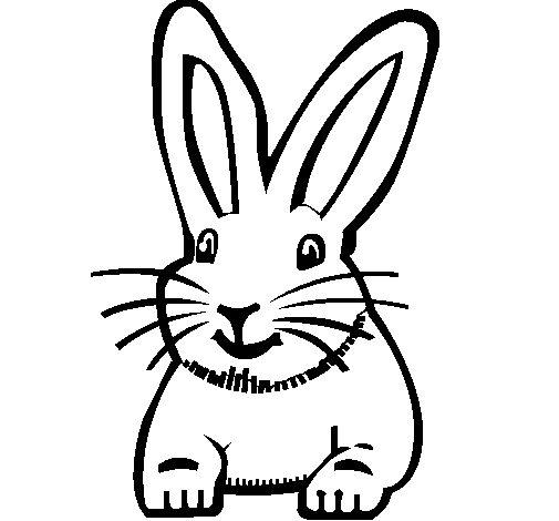 Dibujo de Conejo para Colorear 
