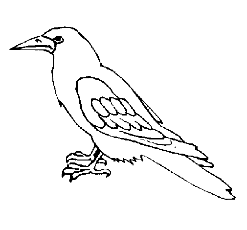 Dibujo de Cuervo para Colorear