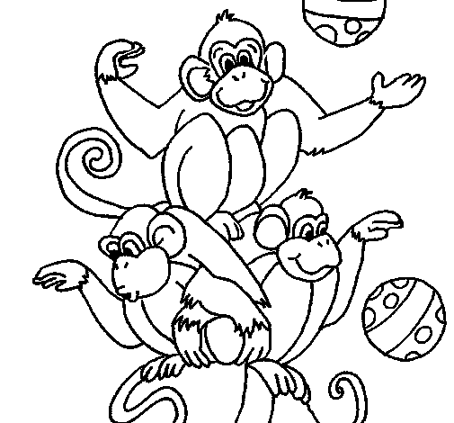 Dibujo de Monos haciendo malabares para Colorear