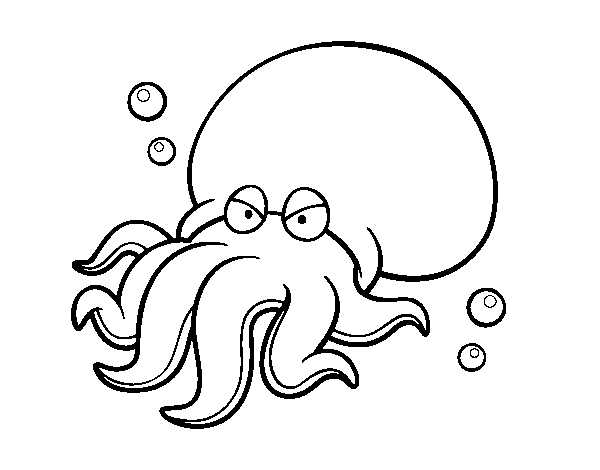 Dibujo de Octopoda para Colorear