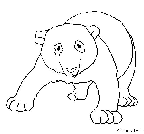 Dibujo de Oso panda 1 para Colorear