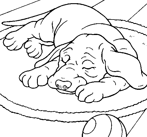 Dibujo de Perro durmiendo para Colorear 