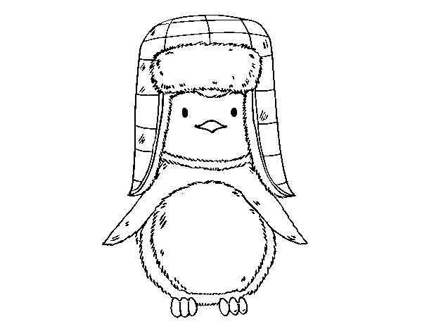 Dibujo de Pingüino con gorro para Colorear