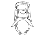 Dibujo de Pingüino con gorro para colorear
