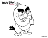 Dibujo de Red de Angry Birds para colorear