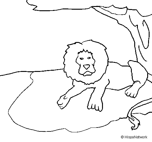 Dibujo de Rey león para Colorear