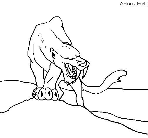 Dibujo de Tigre con afilados colmillos para Colorear