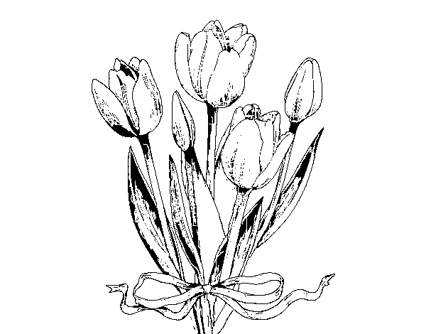 Dibujo de Tulipanes con lazo para Colorear